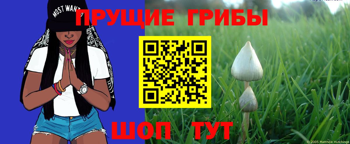 Алушта  сколько стоит  Вход с VPN  Галлюциногенные грибы Magic Shrooms 